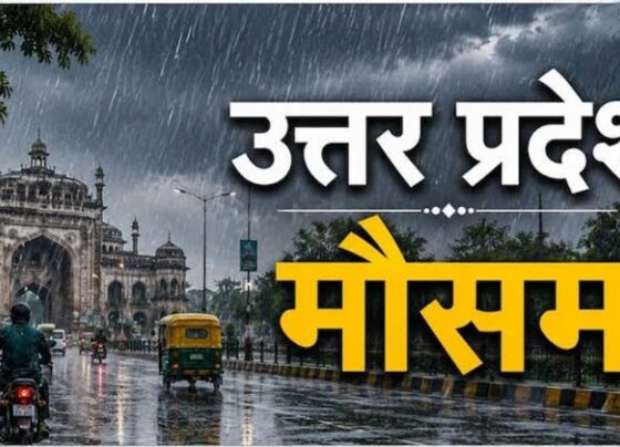 UP Weather