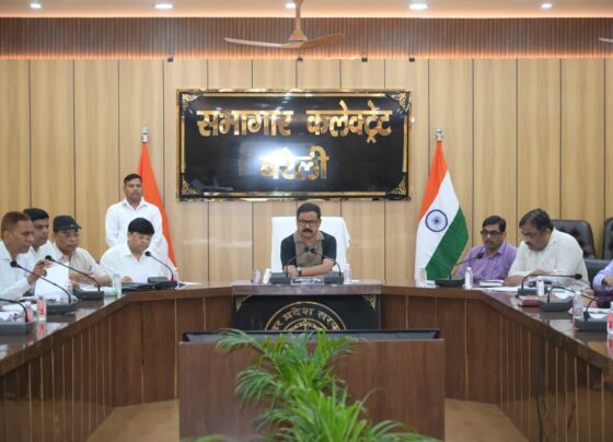 जिलाधिकारी कार्यालय में आयोजित बैठक को संबोधित करते जिलाधिकारी